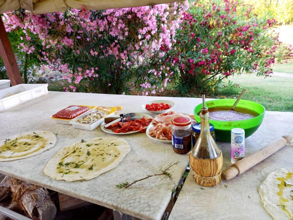Agriturismo Le Vignacce Villa Santa Luce Dış mekan fotoğraf