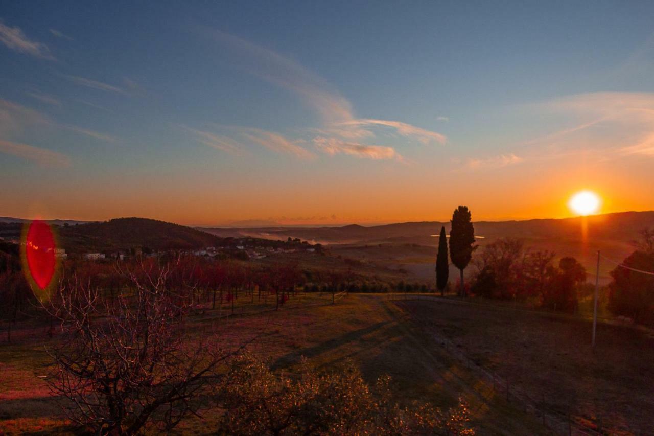 Agriturismo Le Vignacce Villa Santa Luce Dış mekan fotoğraf